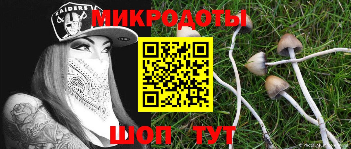 Галлюциногенные грибы MAGIC MUSHROOMS Новосибирск